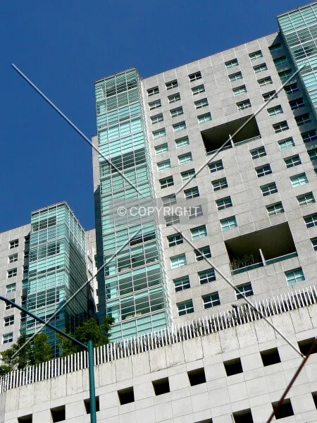 Photo 021-529-983