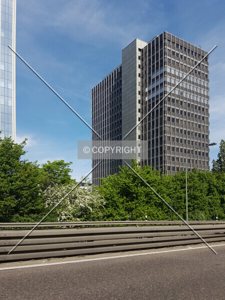 Photo 215-367-854