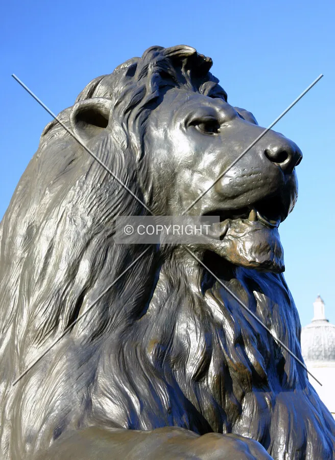 Head of a lion at the base
