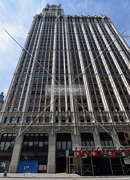 Photo 021-556-895