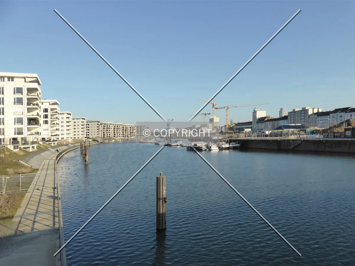 Photo 216-081-832