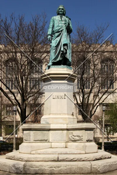 Photo 021-639-250