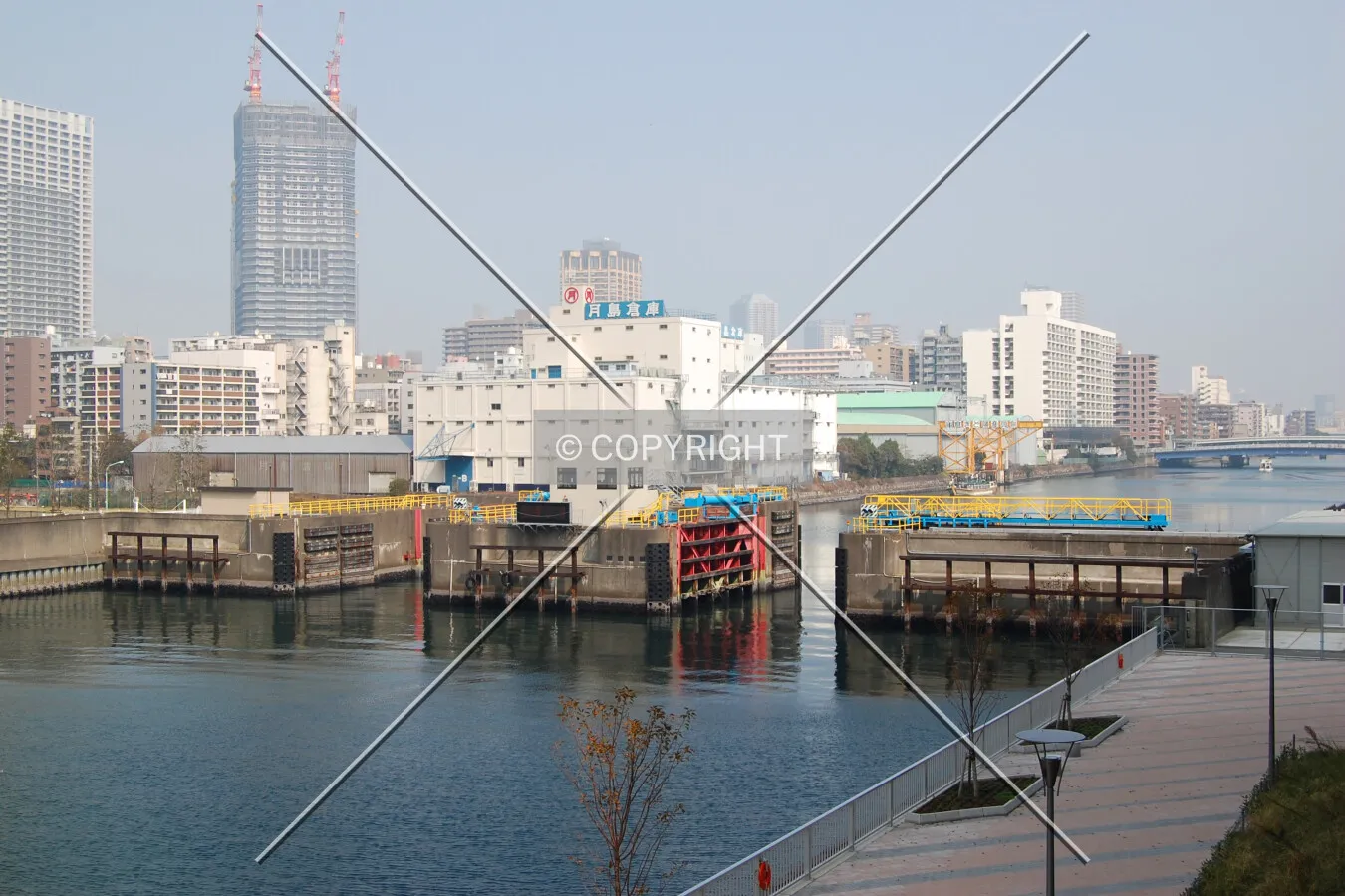 View from the south