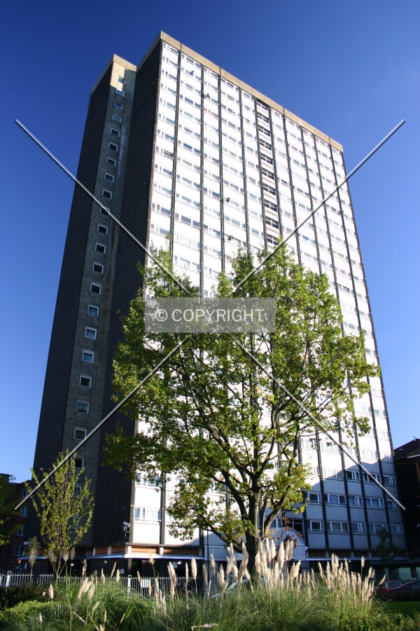 Looking up from the estate