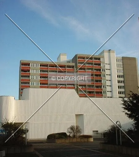 Photo 217-029-846