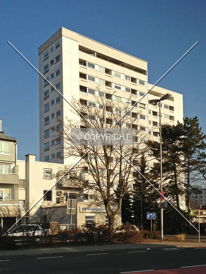 Photo 217-071-749