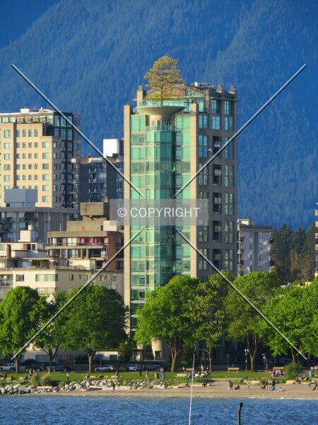Photo 217-111-590