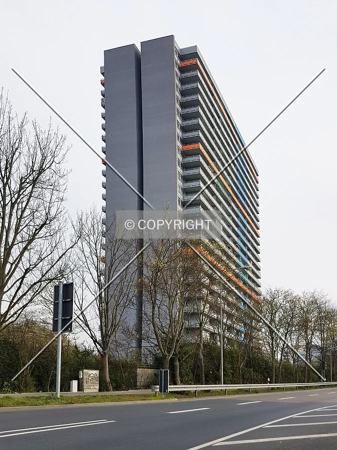 Photo 217-143-781