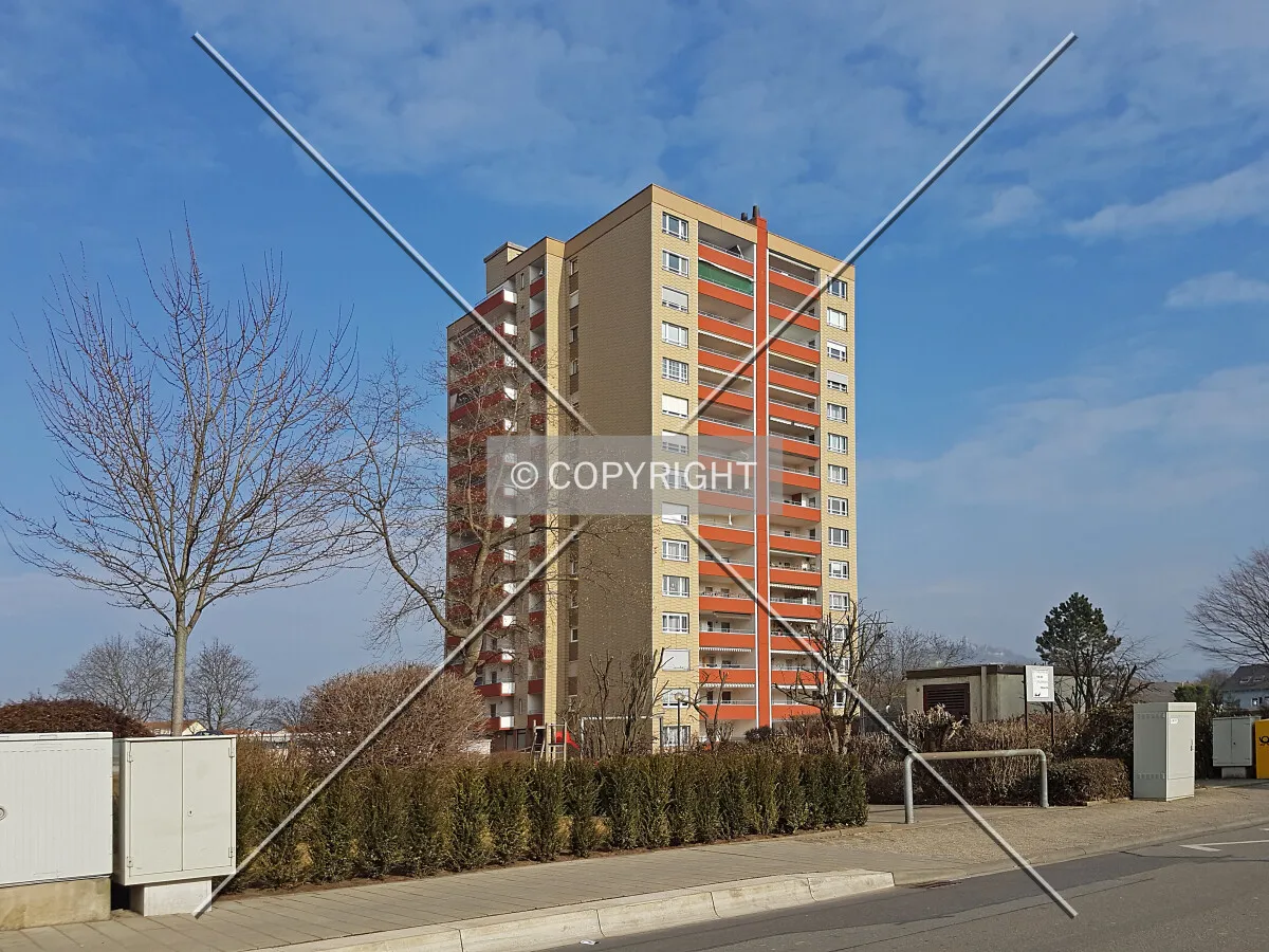 Photo 217-233-483