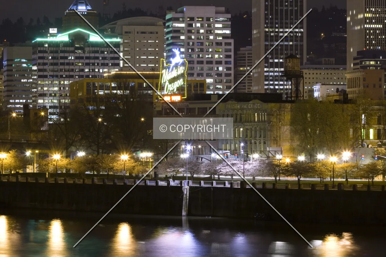 Photo 217-308-623
