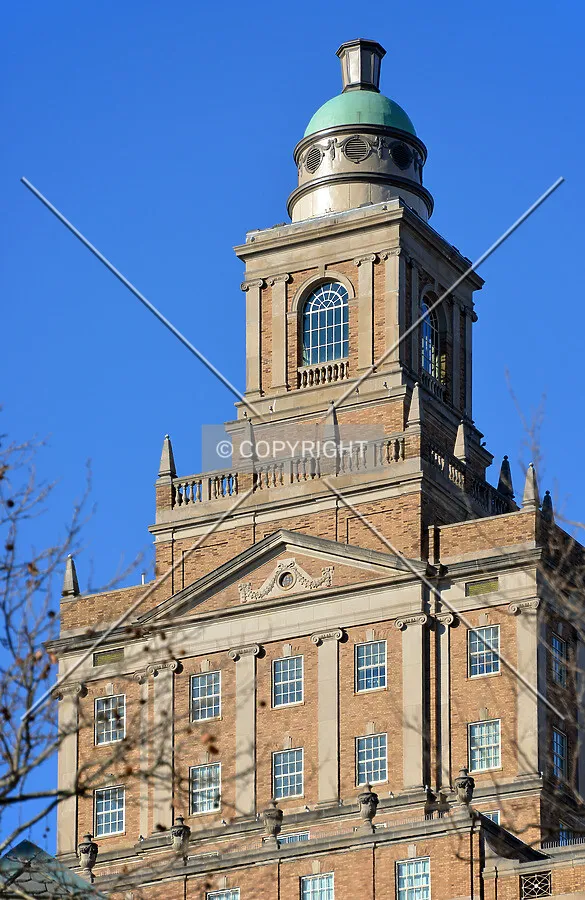 View from the east