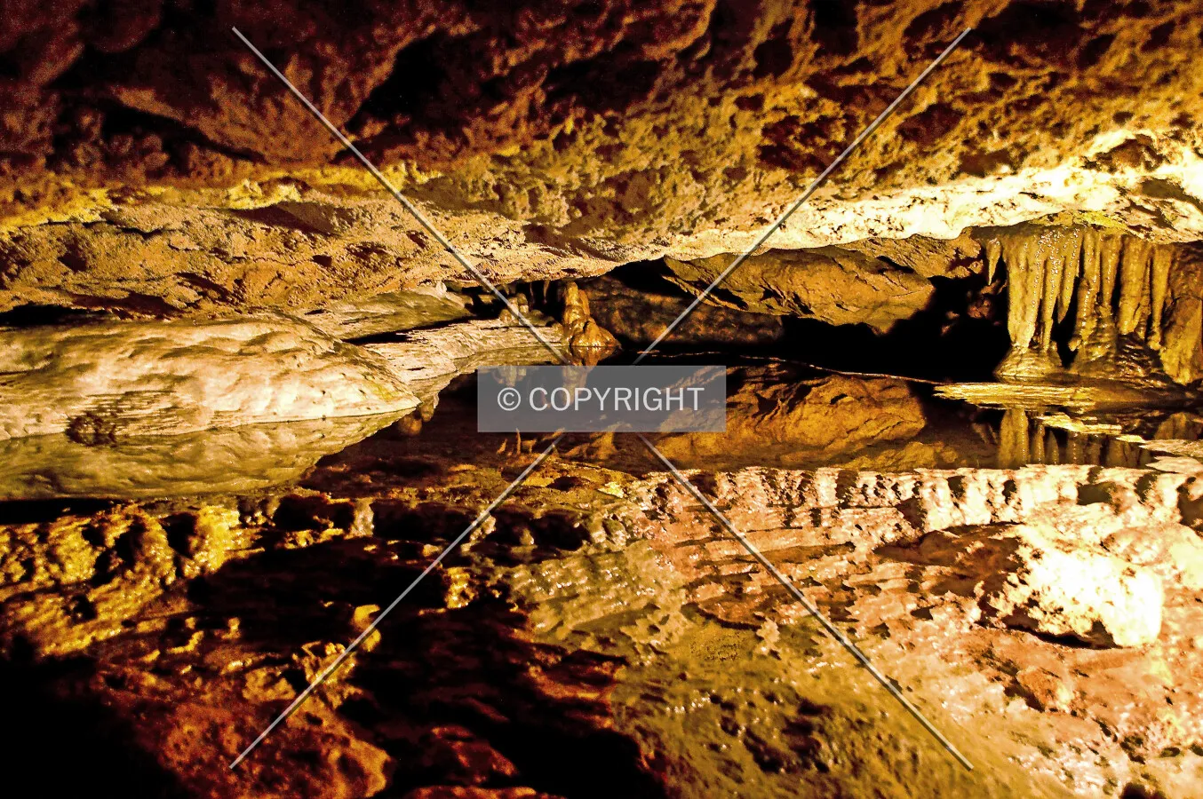 Florida Caverns State Park, 3345 Caverns Rd, Marianna, Florida, U.S.A.