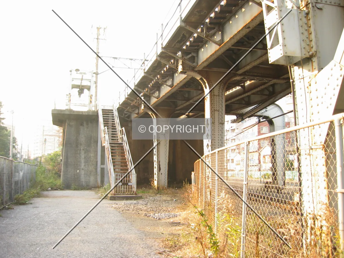 Photo 217-971-652