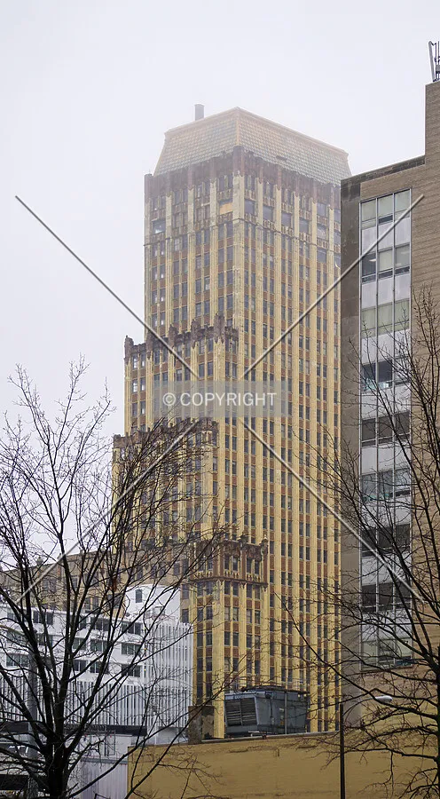 Northwest view; March 18, 2020