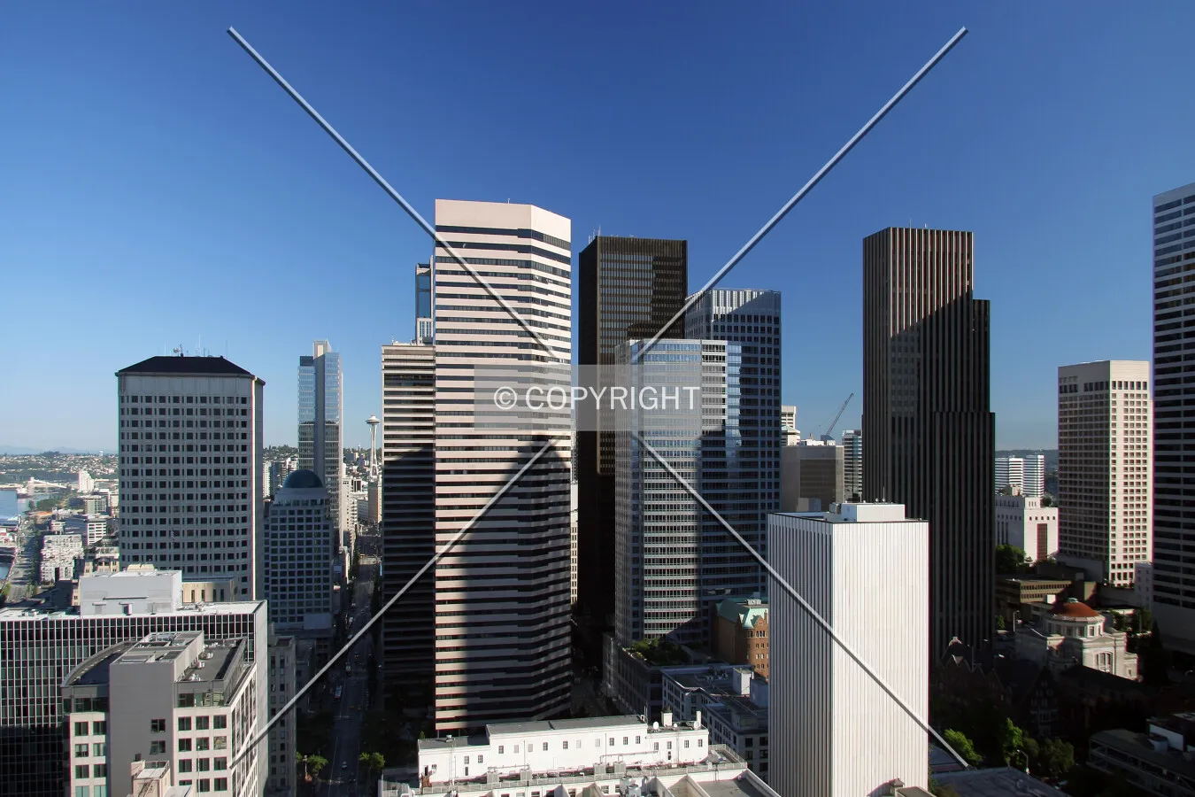 Elevated view from the Smith Tower