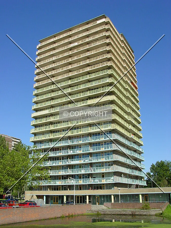 View from the southwest