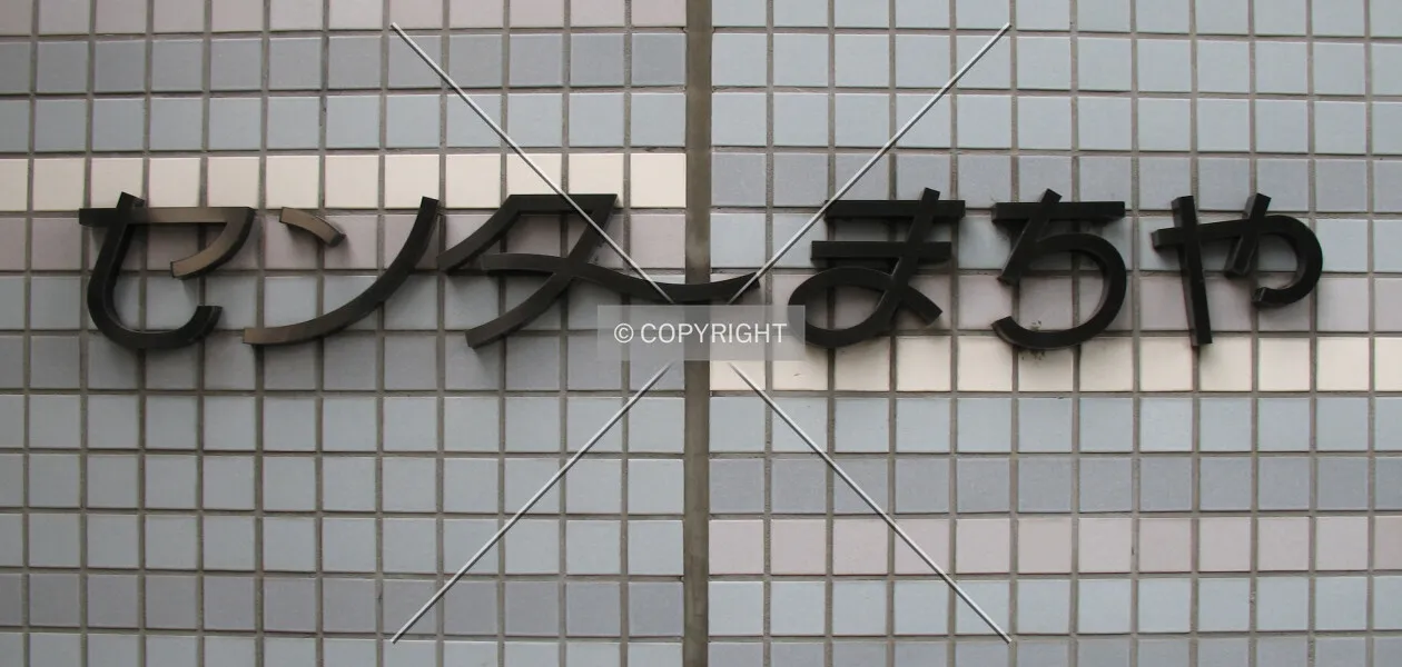 Photo 219-795-213