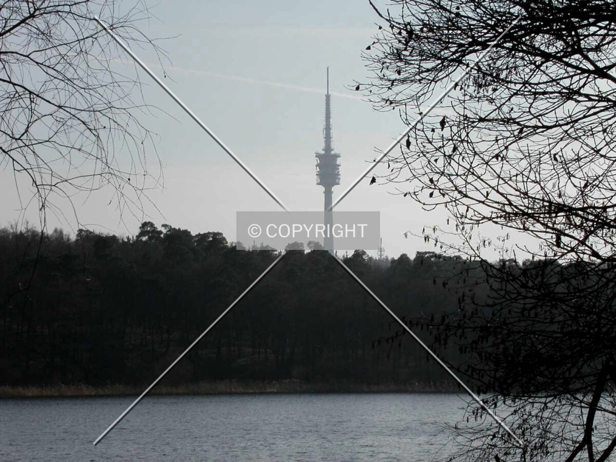 The tower as seen from Pfaueninsel