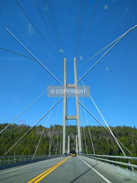 Photo 220-258-741