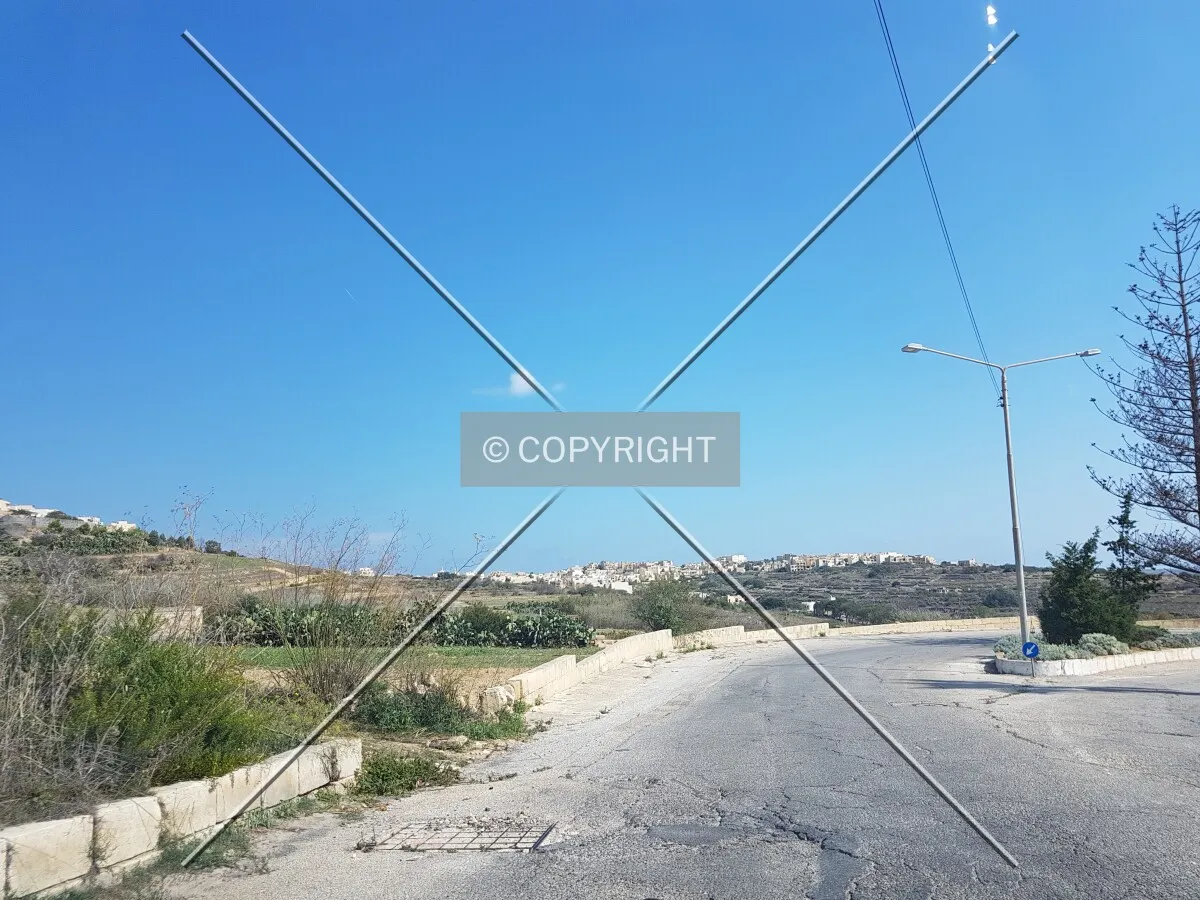 Photo 220-267-774