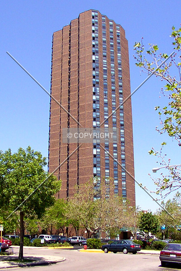 View from the south