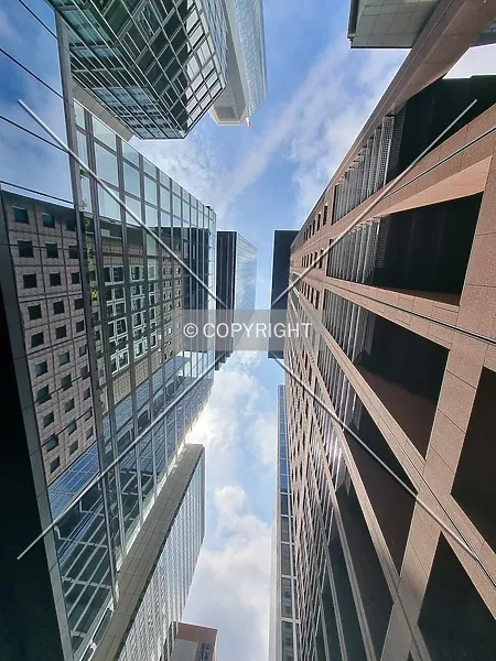 Photo 220-378-627