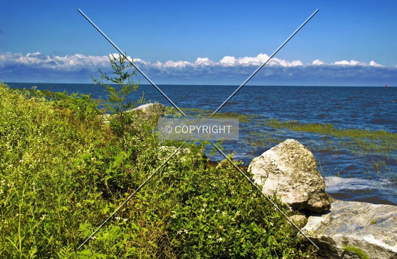 Lake Okeechobee, Florida, U.S.A.