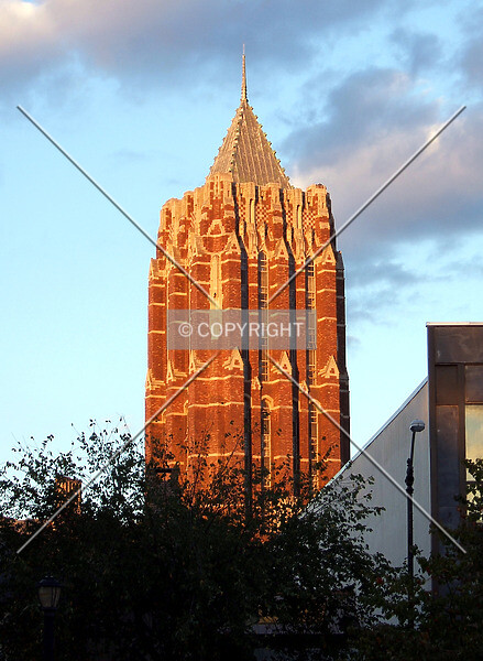 Photo 220-556-542