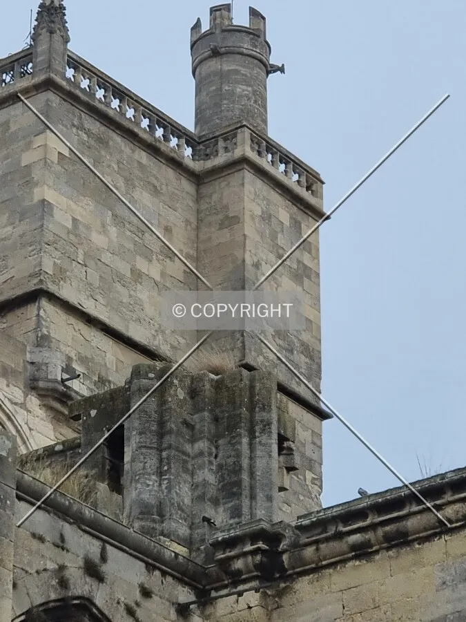 Photo 220-621-077