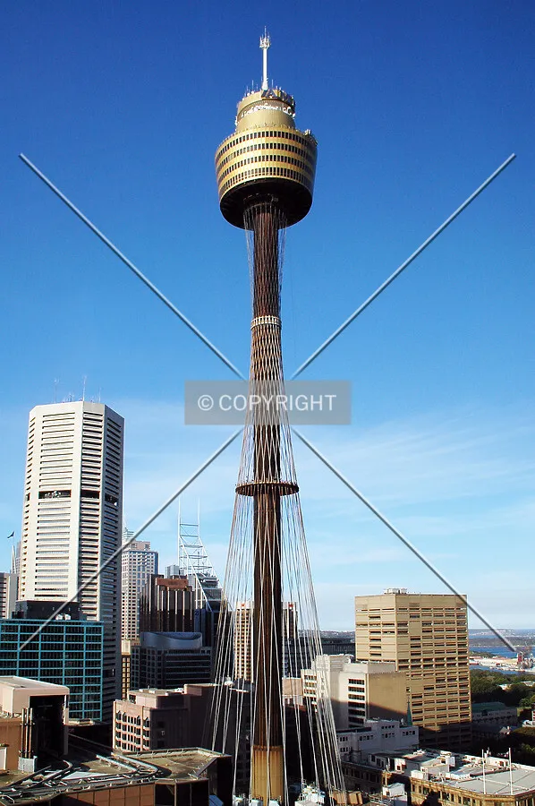 Elevated view from the Hilton Hotel