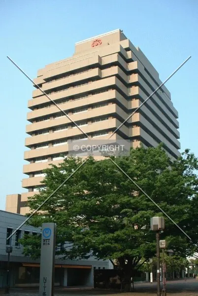 Photo 221-047-788
