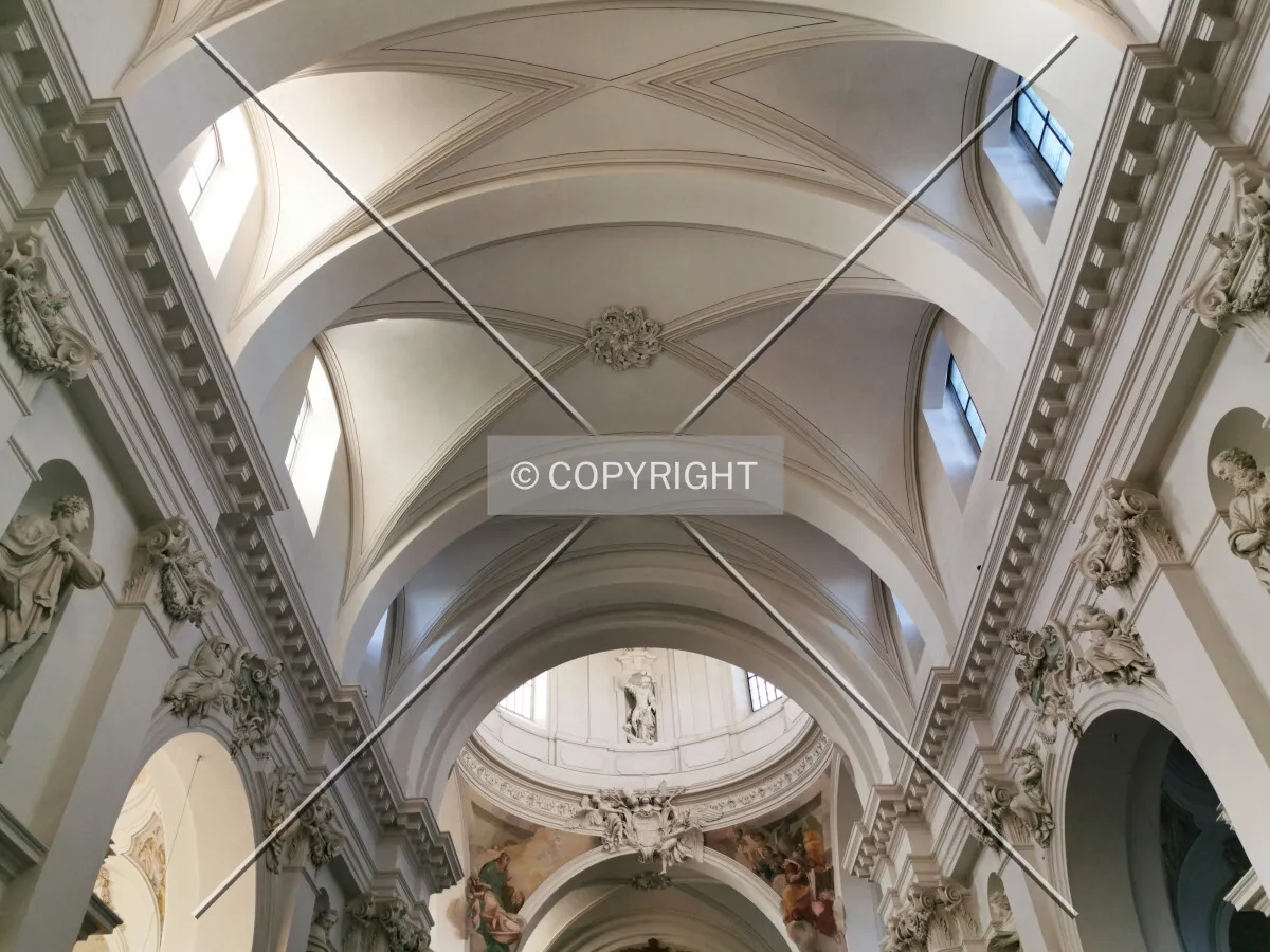 Photo 221-157-764