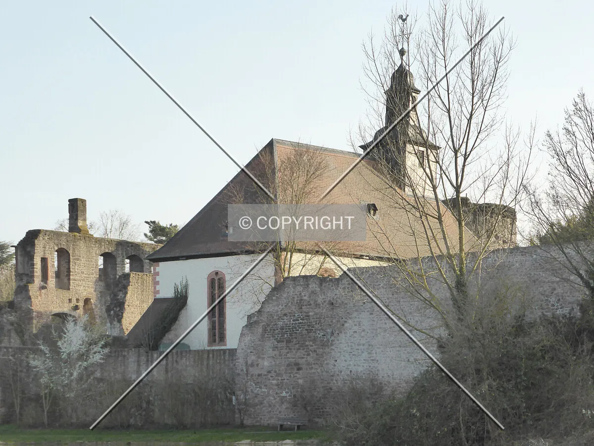Photo 221-552-444