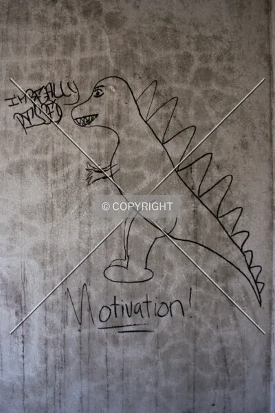Photo 222-179-484
