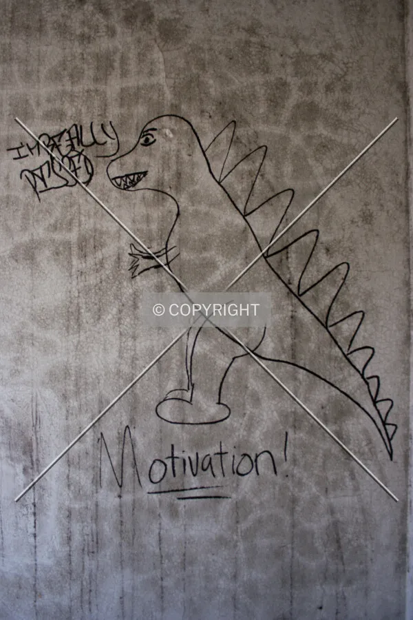 Dinosaur graffiti in the sacristy