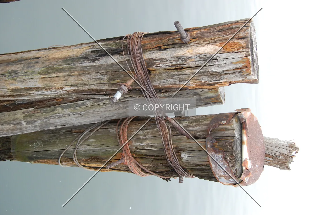Photo 022-241-981
