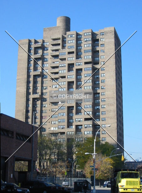 View from the east