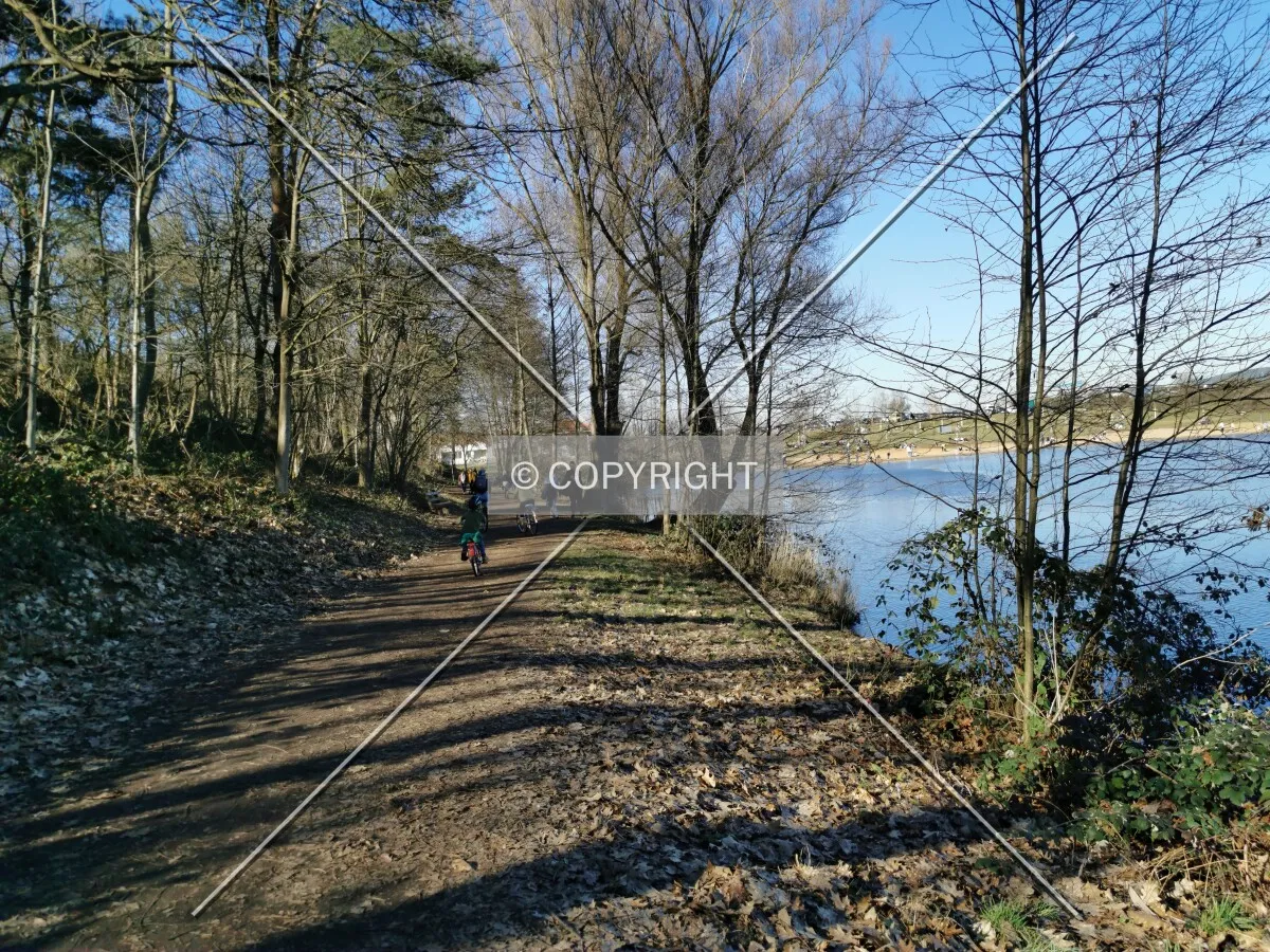 Photo 222-933-830