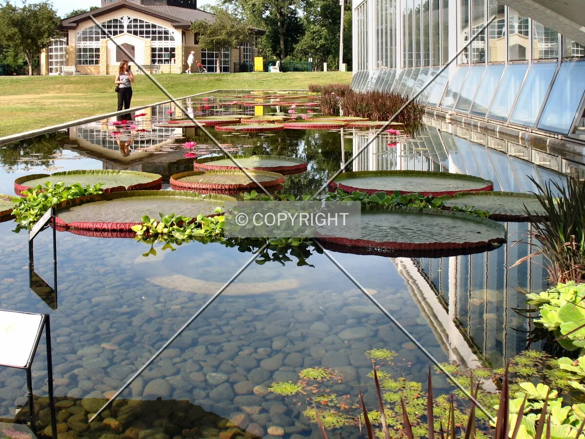 Water garden south of the main entrance