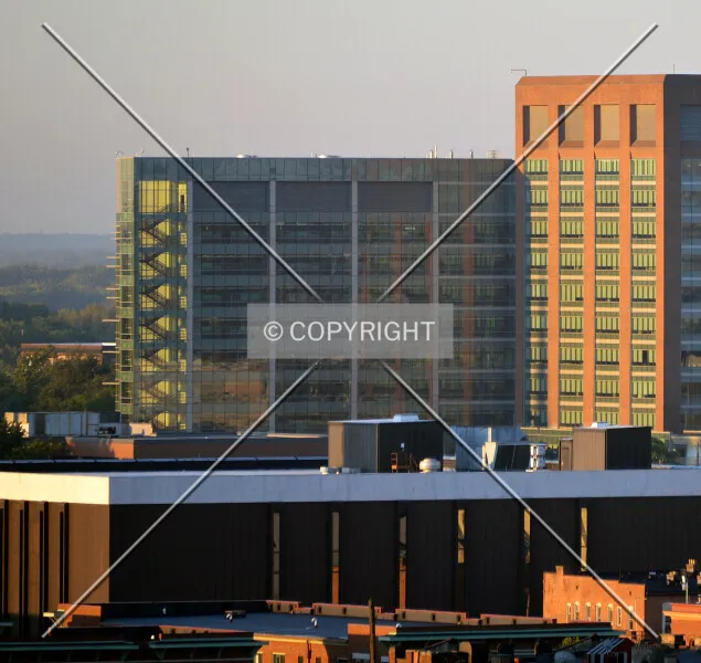 Photo 223-613-484