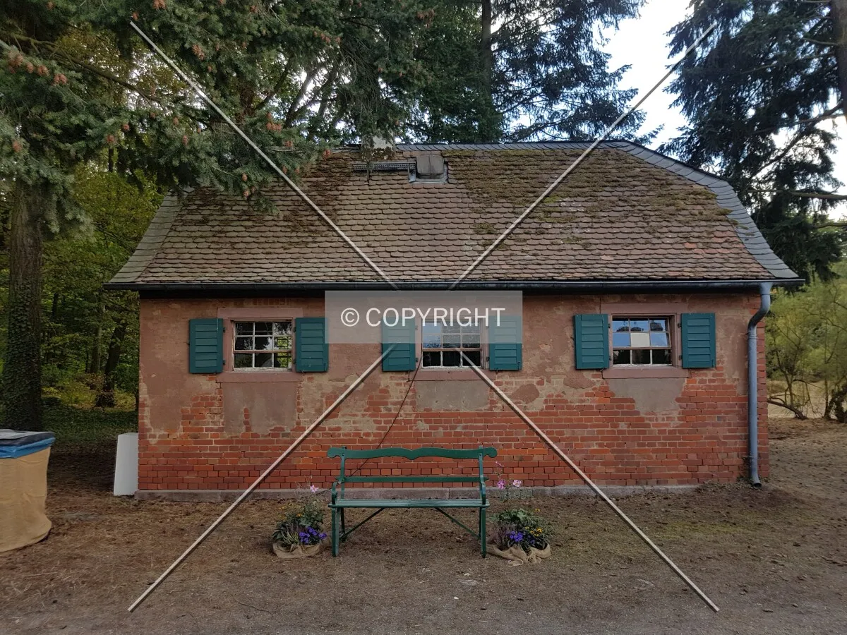 Schloß Wolfsgarten in 2018
