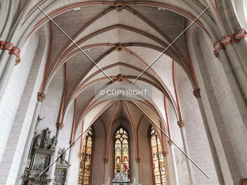 Photo 224-206-859