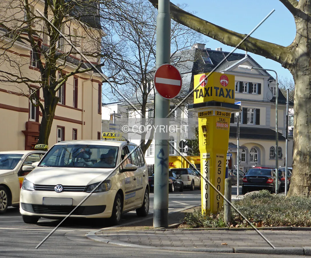 Photo 224-270-218