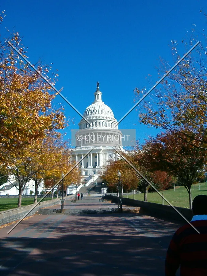 View from the southwest