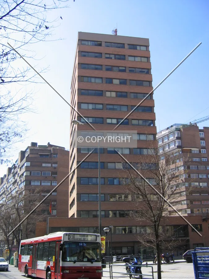 View from the north
