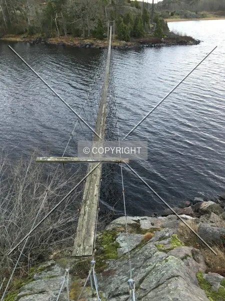 Photo 225-494-720
