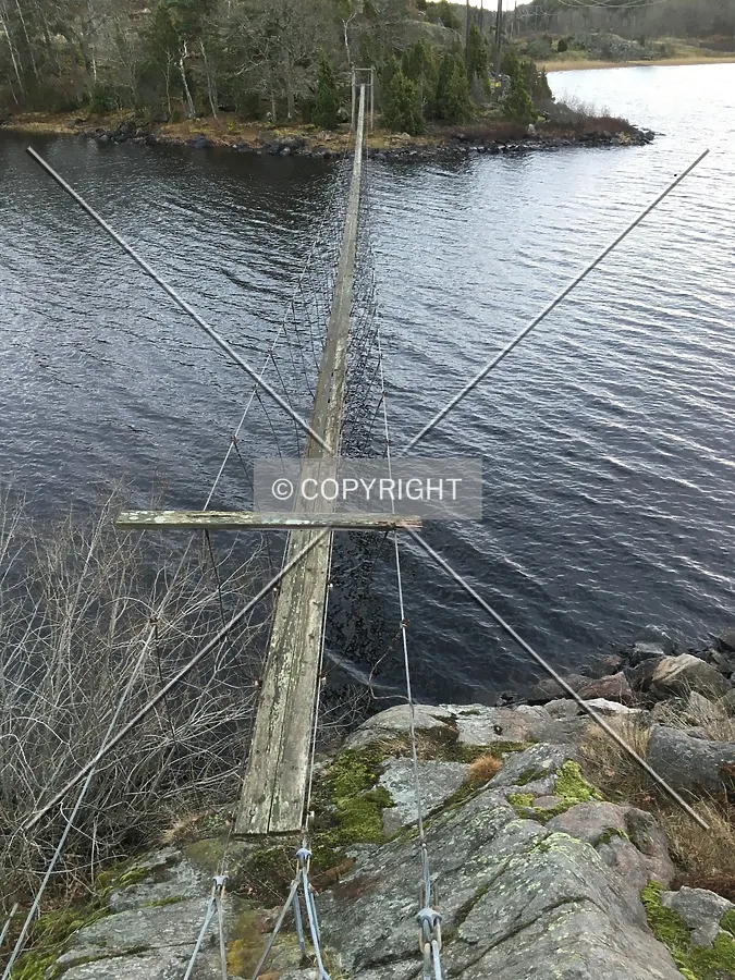 Photo 225-494-720