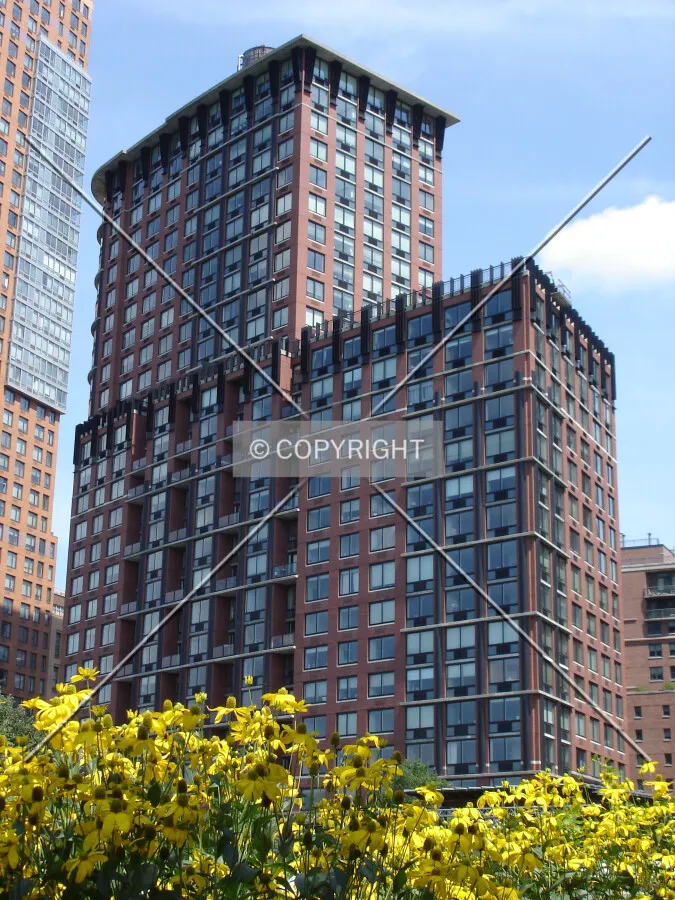 View from the park