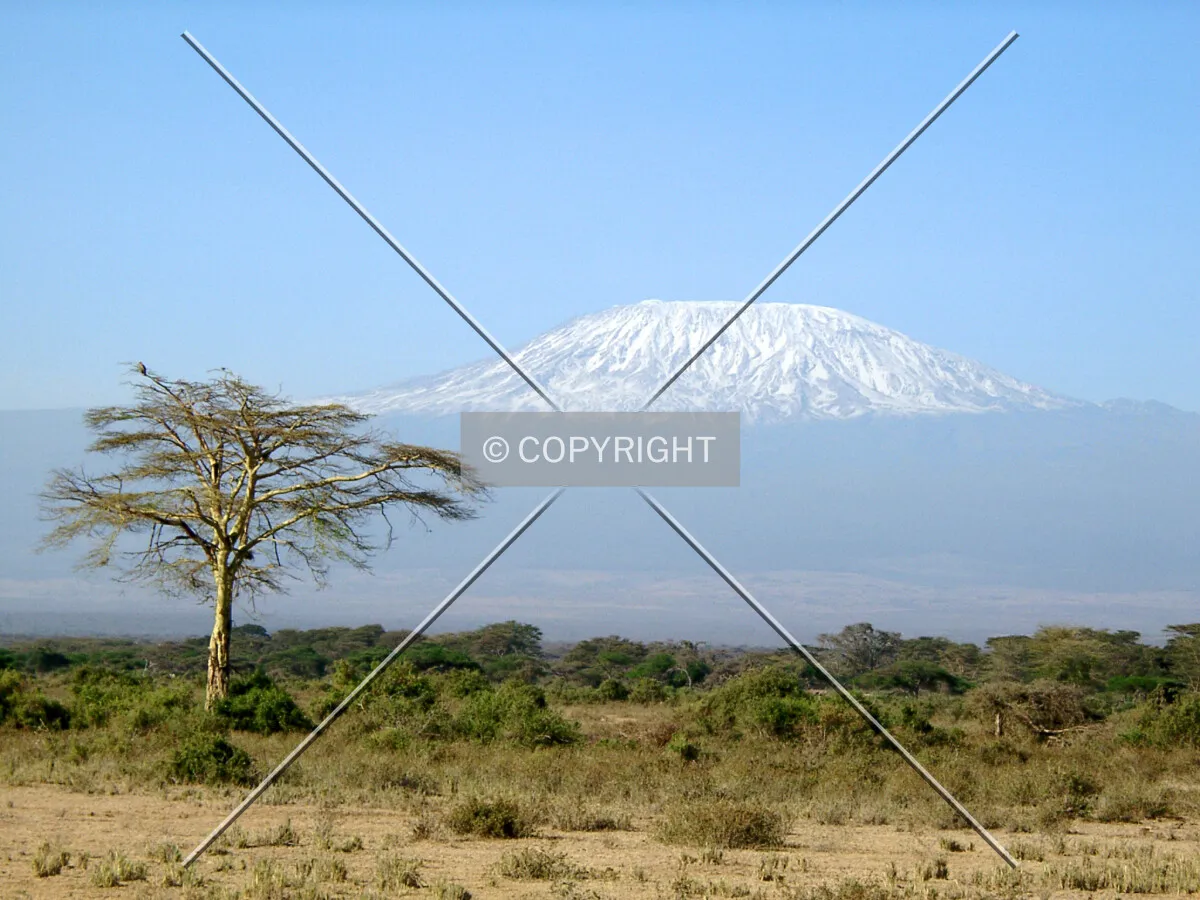 Kilimanjaro with blue sky