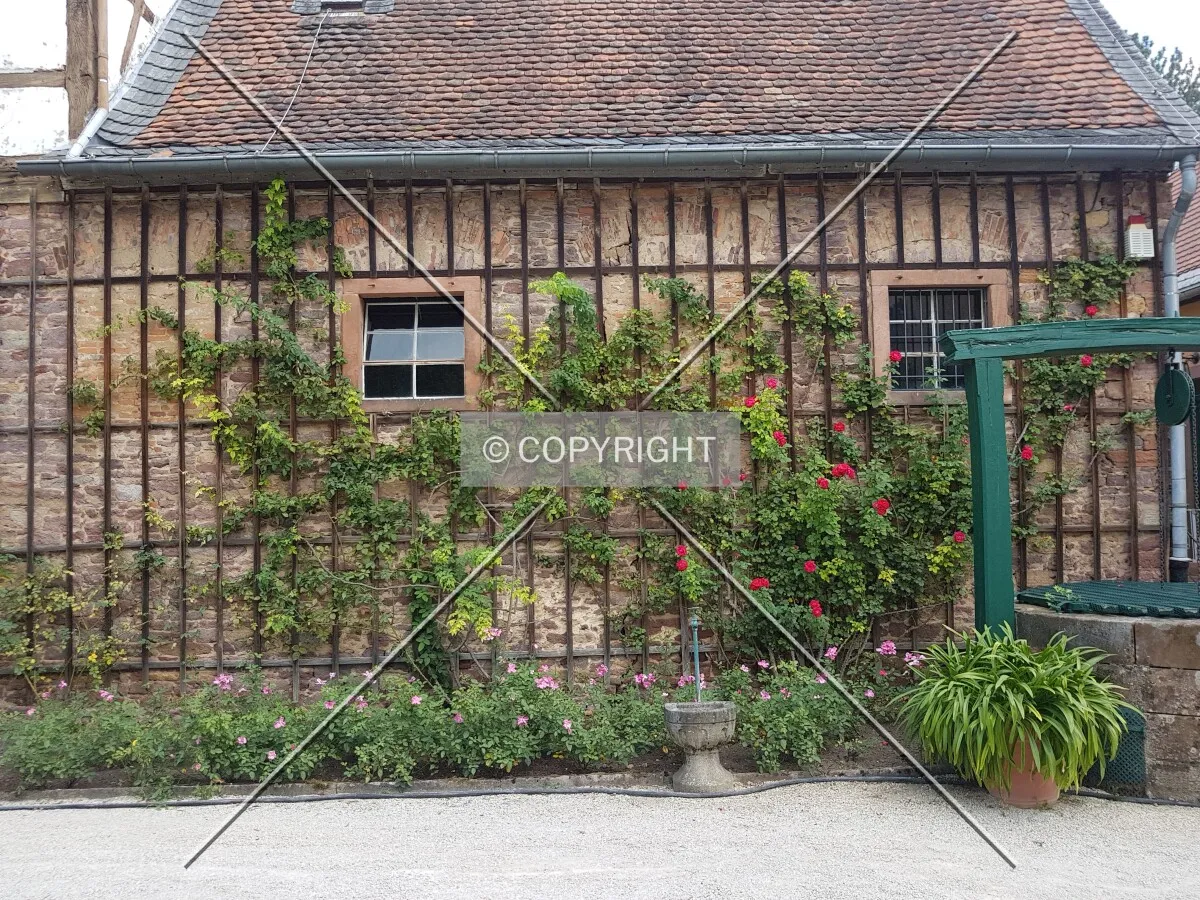 Schloß Wolfsgarten in 2018